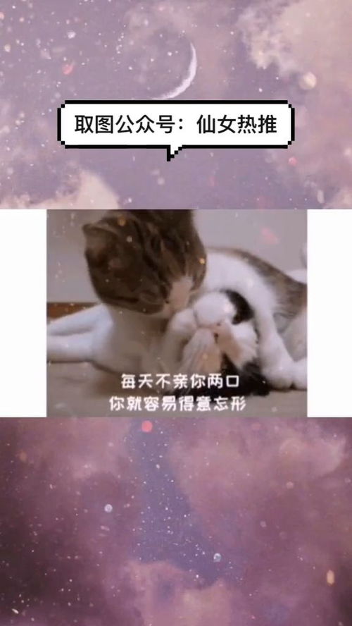 用来套路男朋友,女朋友的表情包