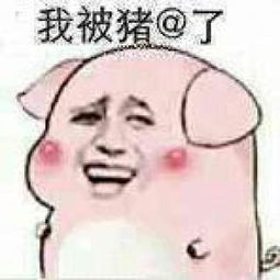变猪喷雾表情包快把我变回来变猪喷雾表情包斗图手机腾牛网