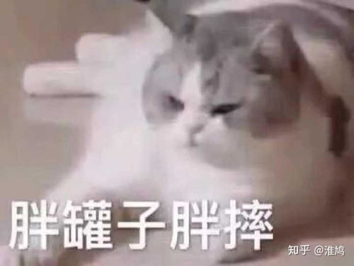 不爱说话的偏闷骚型的男人,会喜欢主动一点的女人吗