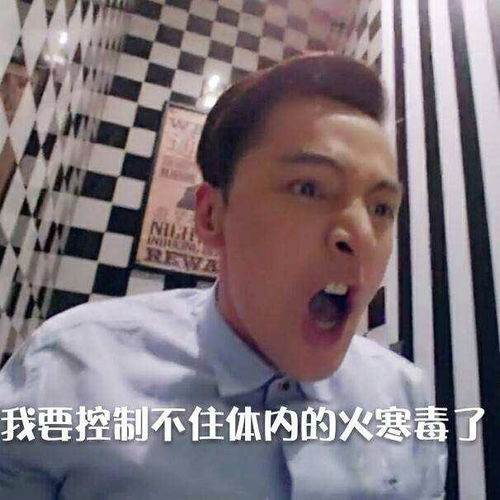 kukuQ表情包霍建华