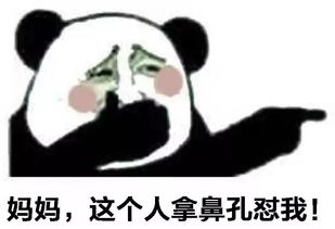 看了老公给我拍的照片,我默默拿起了33米的大刀