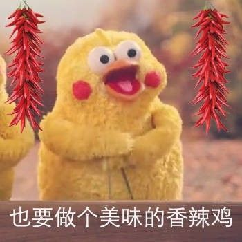 撒贝宁,一定是马云改变了你...