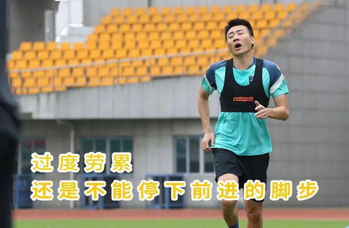 云动态斗图必备,支云狼兵表情包又双叒来啦