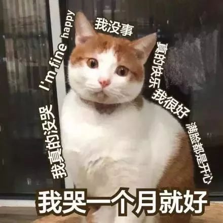 为逼前任复合,厦门男子冒充警方通报自己吃药自杀,结果
