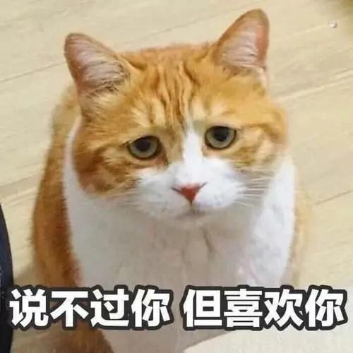 e句话看天下丨福原爱有新恋情