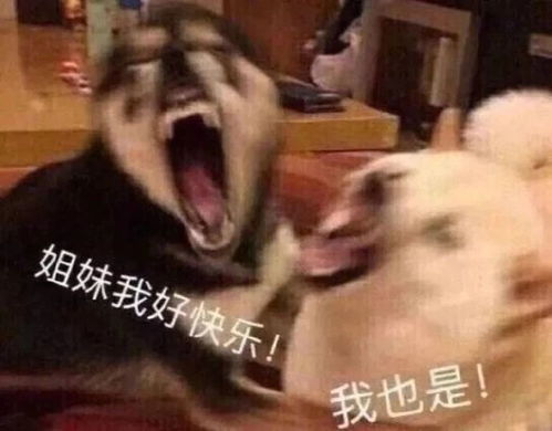 热门表情包图片帮闺蜜好好减肥,教你一招