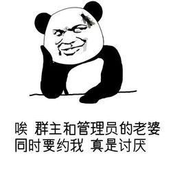 群聊必备表情图群主为何长期不现身这背后又隐藏着什么