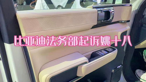 比亚迪方程豹法务部正式起诉姚十八,真是多行不义必自毙