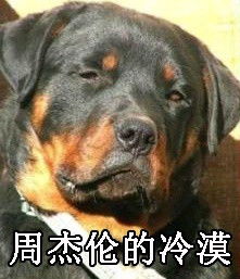 动物明星脸表情包