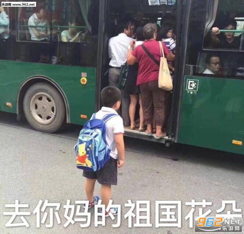 去你妈的祖国花朵图片去你妈的祖国的花朵表情包下载乐游网游戏下载