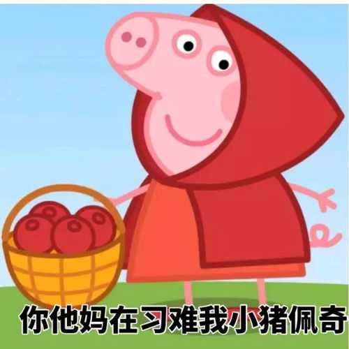 打败你的不是天真,是南北差异
