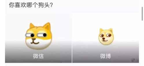 鸟悄的,微信被这只旺柴霸屏了不过有些尴尬的是