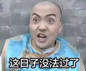 还珠格格海量家族表情包,快来发掘新的表情帝