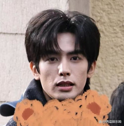 95生男生怼脸生图丁禹兮真实,王鹤棣鞋拔脸,他差距大到认不出