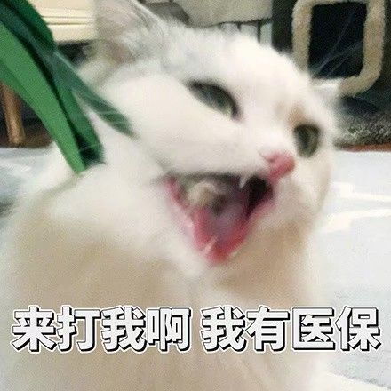 贤者之城不可能的世界