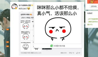 非常喜欢网上那些表情包和非主流图片表情的人一群什么样的人