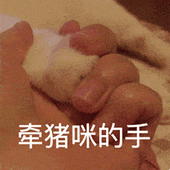 可爱表情包