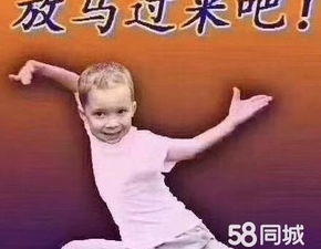 平凉斗图表情包李佳琦