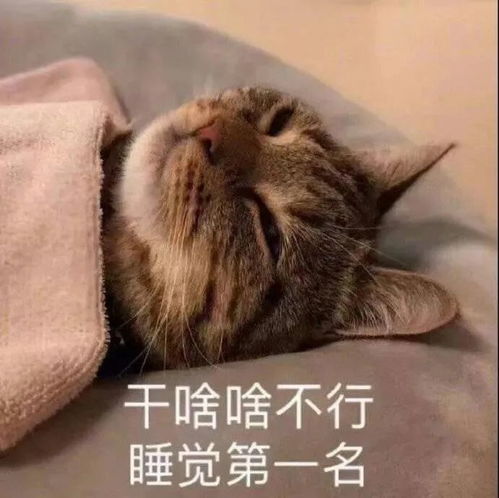 沙雕可爱表情包我怎么会生气呢