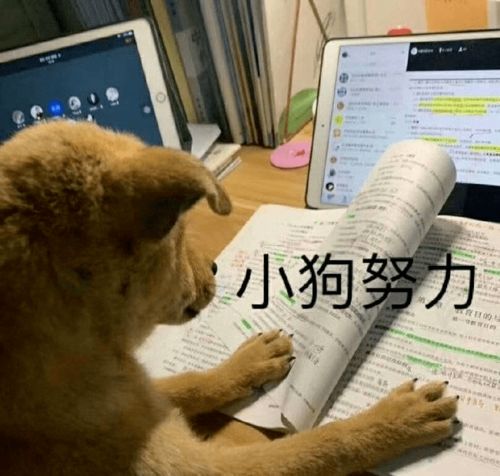 暑期众生百态你属于哪一种