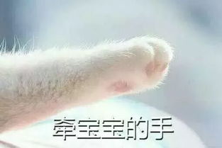 不要随便跟男朋友玩表情包斗图,会被拉黑的