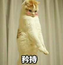 五四特辑揭秘法院青年的双面人生
