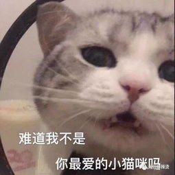 你的脸不用化妆,我却疯狂的爱上异性
