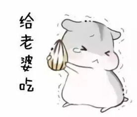 哄老婆表情包老婆大人对不起好喜欢老婆我老婆超级可爱