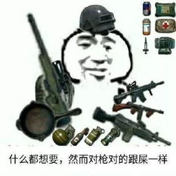 朋友圈配图我去捡把98k,你就站在此地不要走动