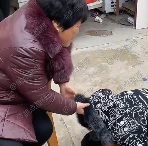 小孩强势要压岁钱,跪下磕头不起来,奶奶别磕了,我没钱了