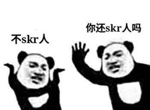 抖音超火的表白表情包skr
