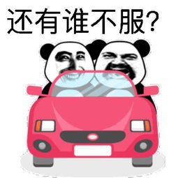 提车第一天你做了什么