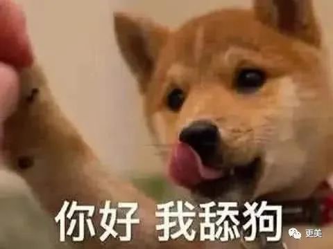 从李嘉欣朱茵降级,7个老婆救了张一山的演技