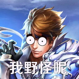 王者荣耀斗图表情包第182期宫本武藏我的刀呢