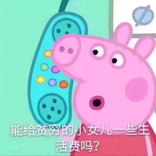 那些年,我们一起度过的双十一