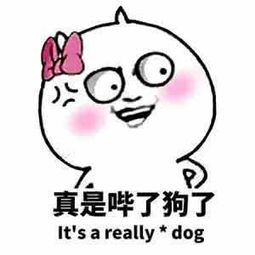 这些车,绝对比豪车更能俘获女神的心