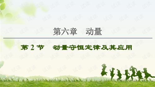 2021届一轮复习人教版第6章第2节动量守恒定律及其应用课件130张.ppt外包文档类资源csdn下载
