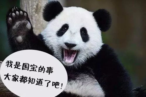 天下