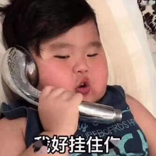 今日份表情包