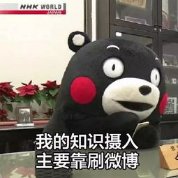熊本熊表情包我的水果摄入来源主要靠ktv