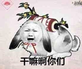 剑三万花跟宠表情包