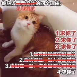 网申也有潜规则揭秘,这些坑一定要避开