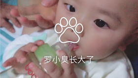 好久没见哥哥跟哥哥对视的表情不知所措最后竟然......