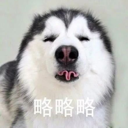 段子丨表情包要钱略略略