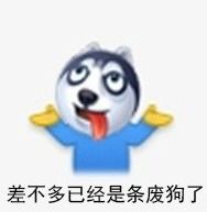 狗头护体表情包表情包