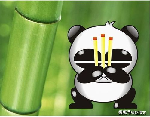 赵博文熊猫烧香趋势筑底,黄金还能做空吗