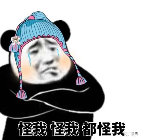 笑炸了台独用谷歌地球搜朱日和,结果搜到伪总统府