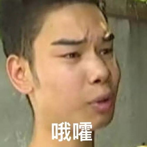 李诞佩服我表情包蓝湛魏