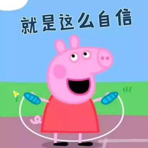 笑掉大牙女子网购小香猪,同吃同睡,但接下来的事让人意想不到