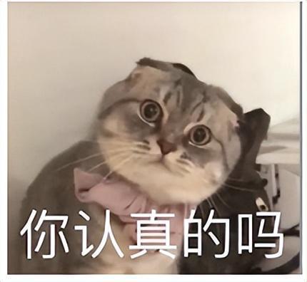 豪华suv首选,沃尔沃xc90大空间舒适座椅双重升级